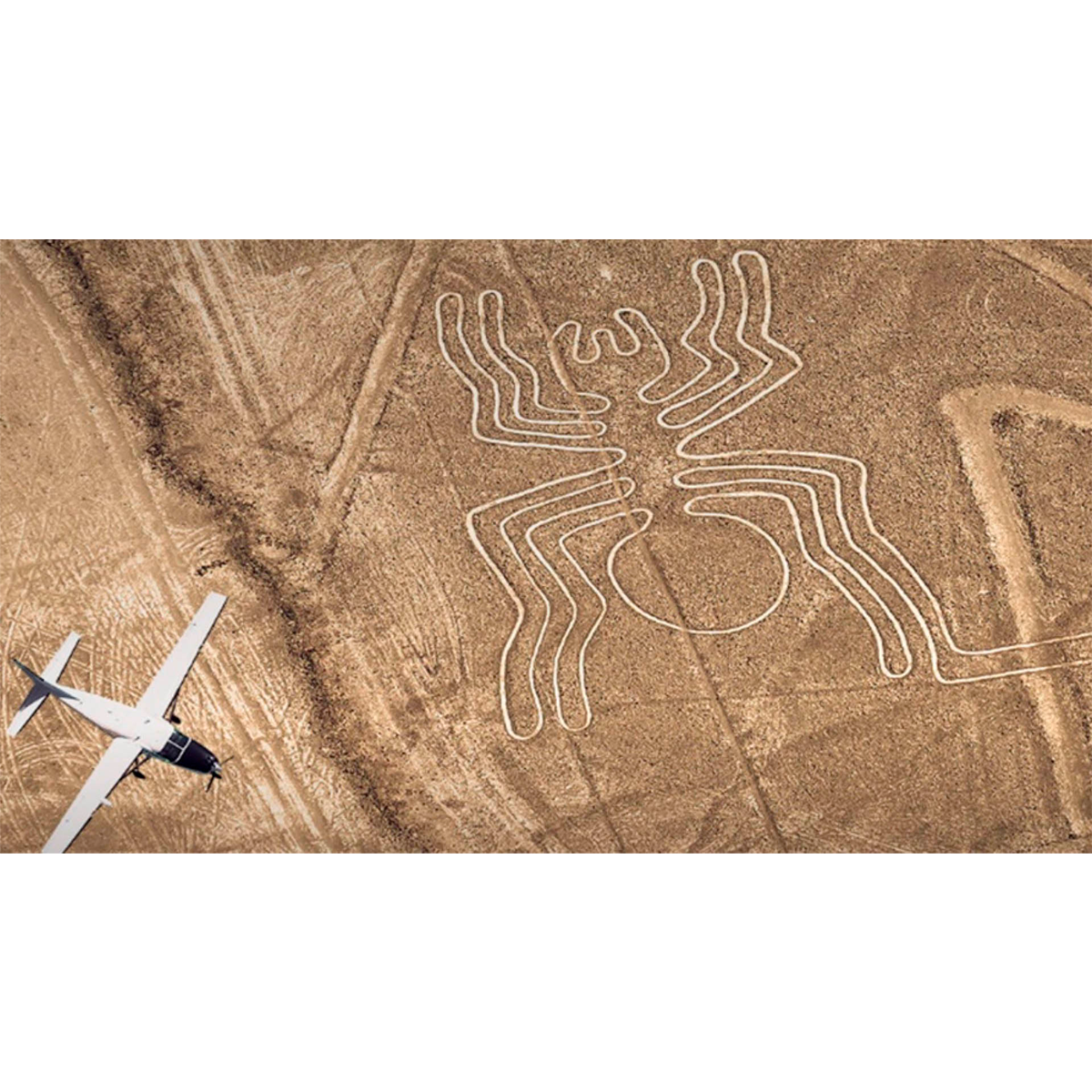 Tama Lineas de Nasca