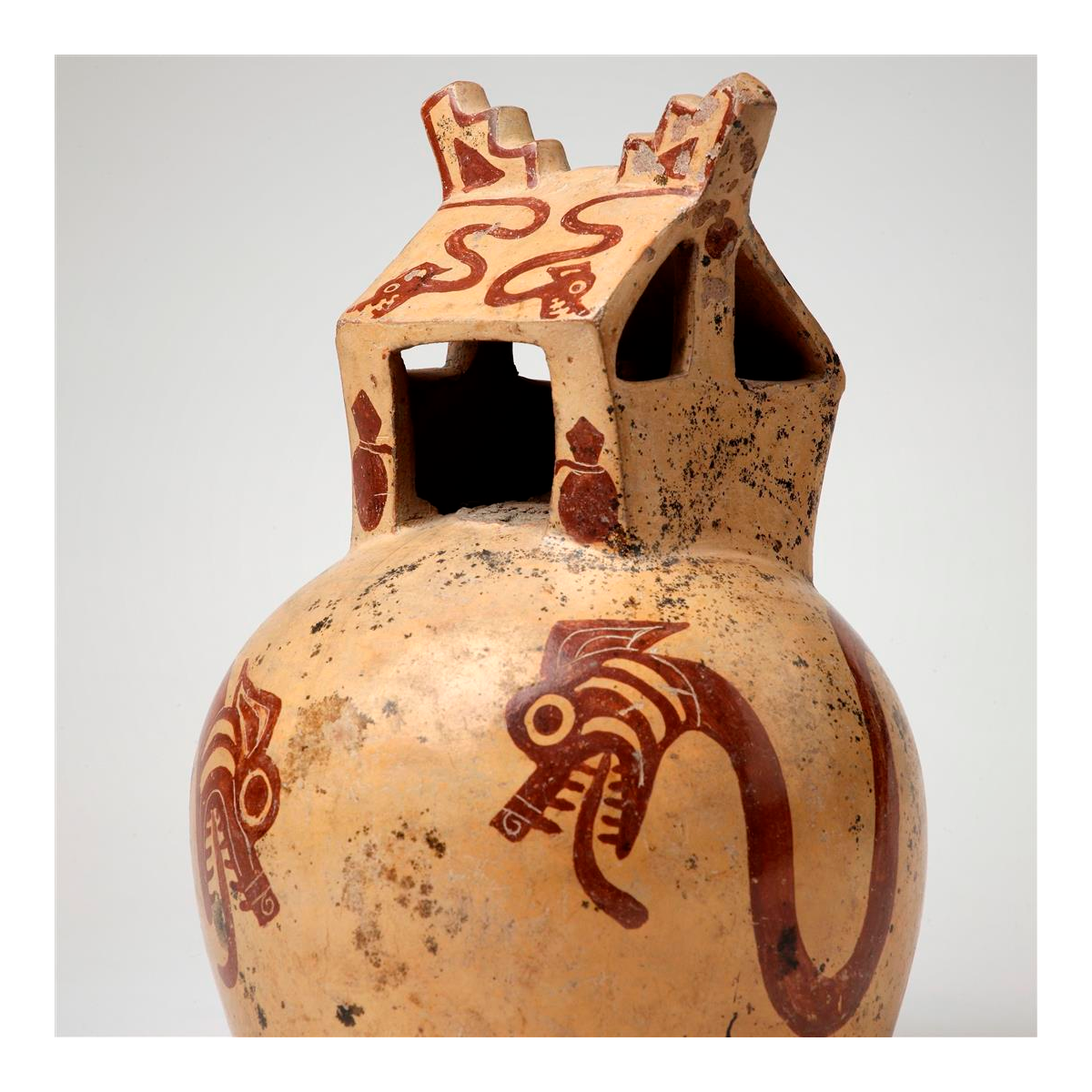 Tama Serpiente Bicéfala